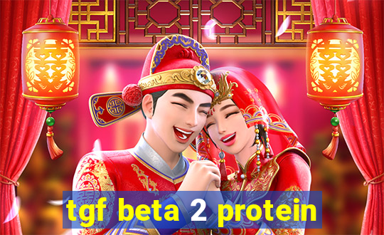 tgf beta 2 protein